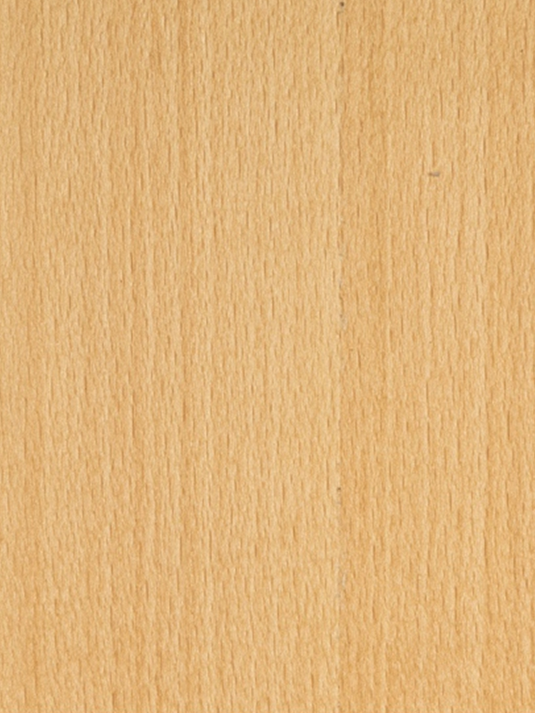 Steam Beech Q/C
